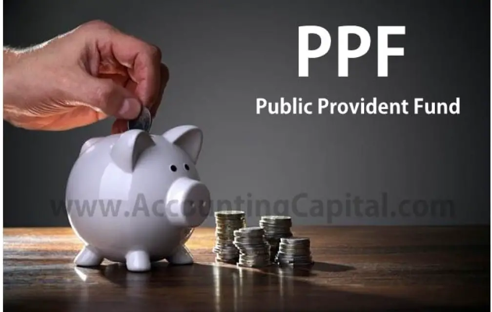 what-is-ppf-accountingcapital