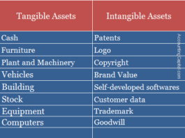 Difference between Tangible and Intangible Assets (With Examples)