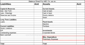 presentation of preliminary expenses in balance sheet