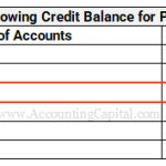 Trial Balance Showing Credit Balance for Purchase Returns